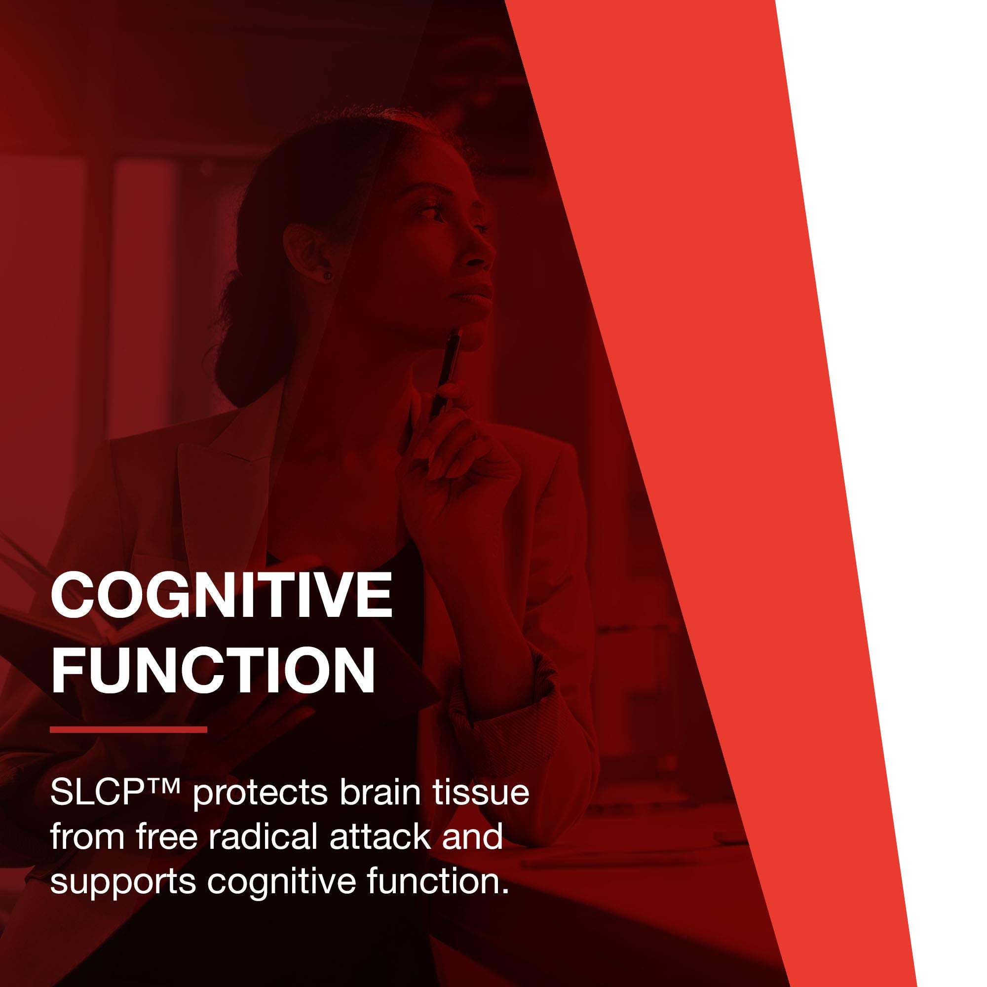 Protocol Cogumin SLCP 400mg Curcumin – Neurological & Cognitive Support – 50 Veg Capsules