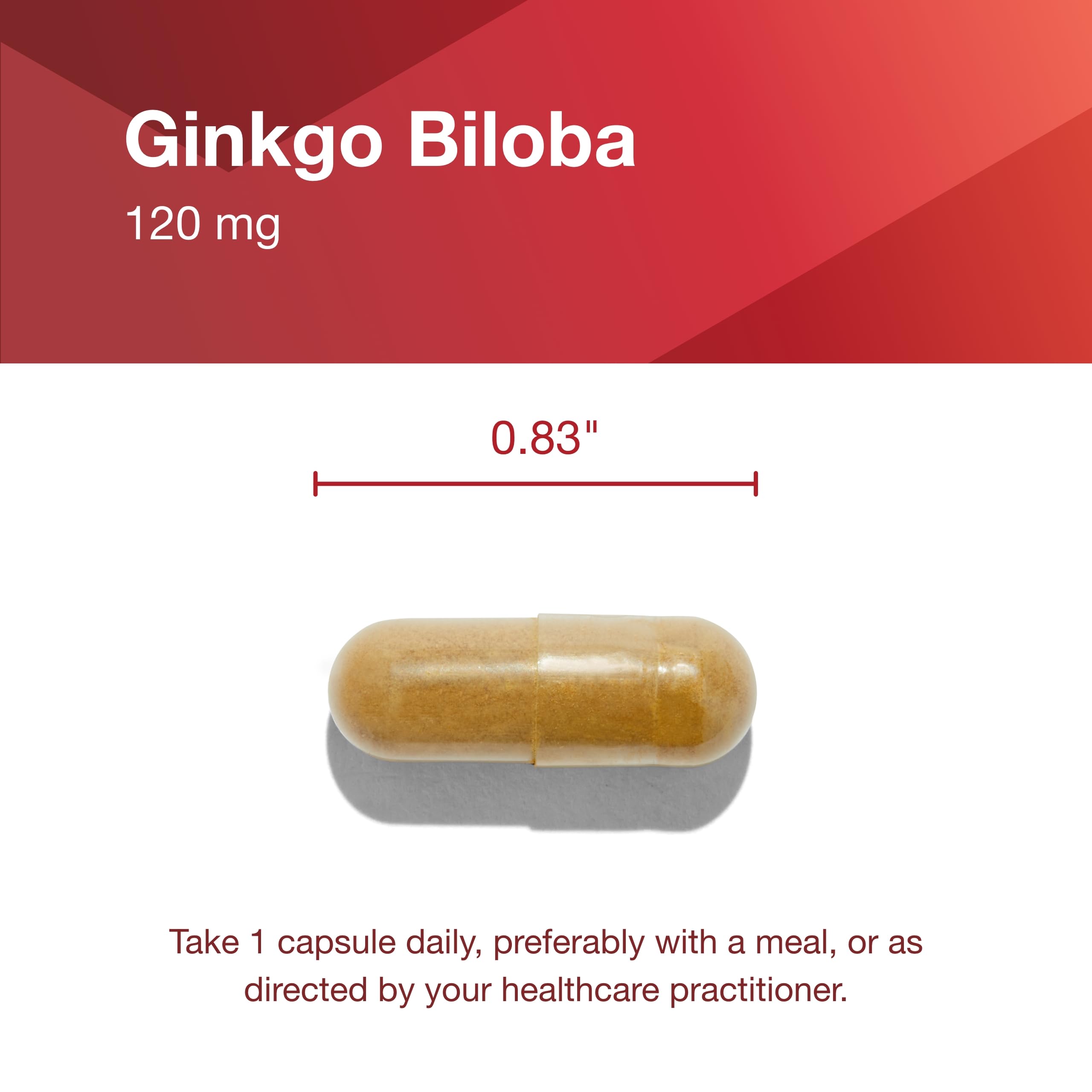 Protocol Ginkgo Biloba 120 mg with Eleuthero – Brain Health & Circulation | 100 Veg Capsules