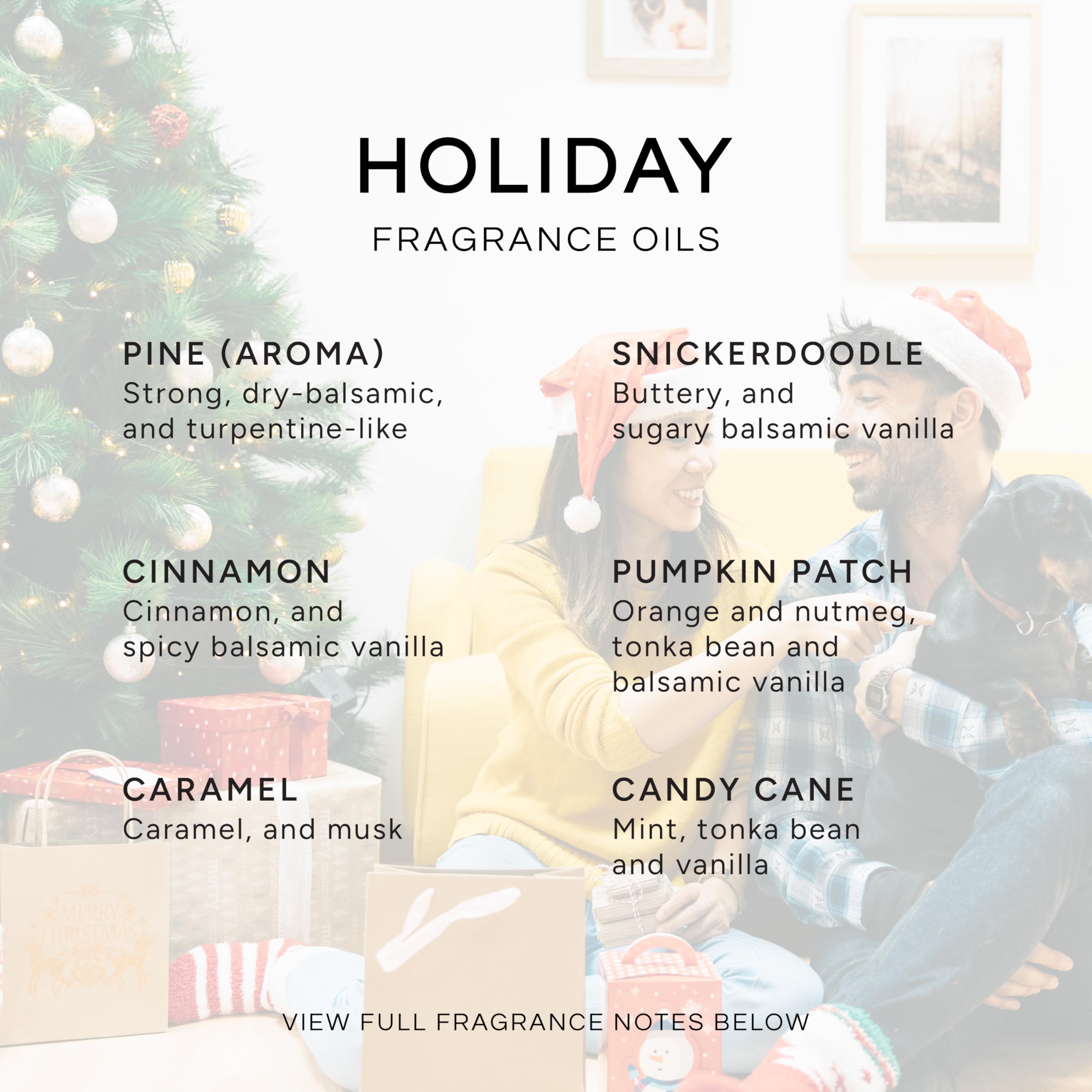 Holiday Set of 6 Premium Fragrance Oils (10ml) – Candy Cane & Pumpkin Patch
