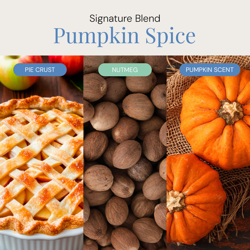 Pumpkin Spice Aroma Oil – Seasonal Diffuser Blend for Cold-Air Diffusers (100mL)
