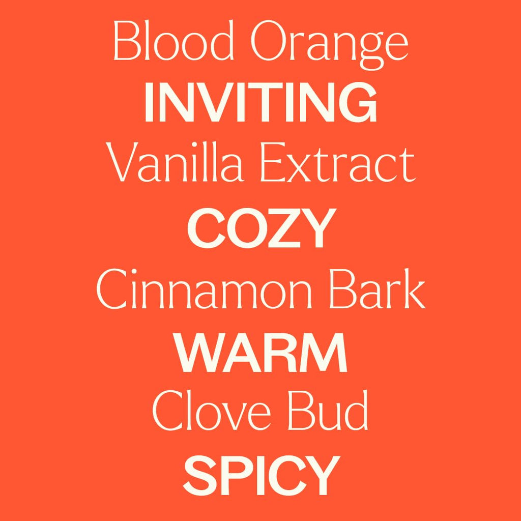 Plant Therapy Pumpkin Spice Fall Essential Oil Blend 10 mL – Warm & Cozy Scent