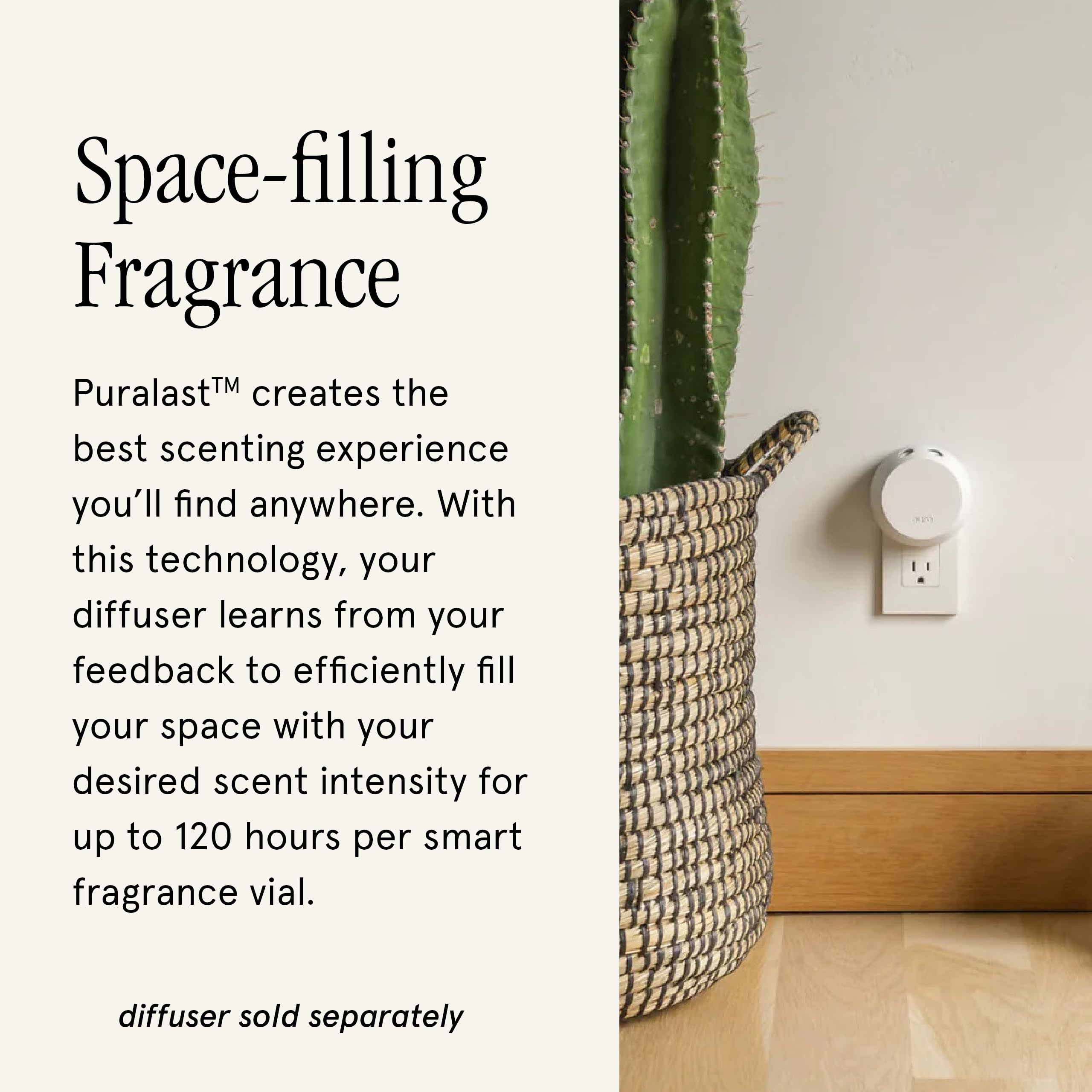 Pura & Aromatique Home Scent Refill - Pumpkin Spice, 2-Pack | 120-Hour Smart Diffuser Fragrance