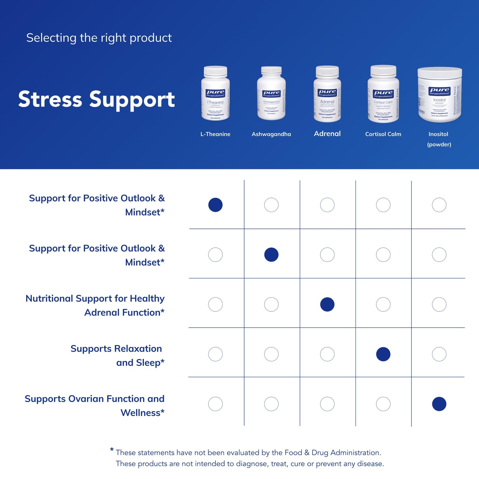 Pure Encapsulations L-Theanine – Relaxation & Stress Support – 120 Capsules