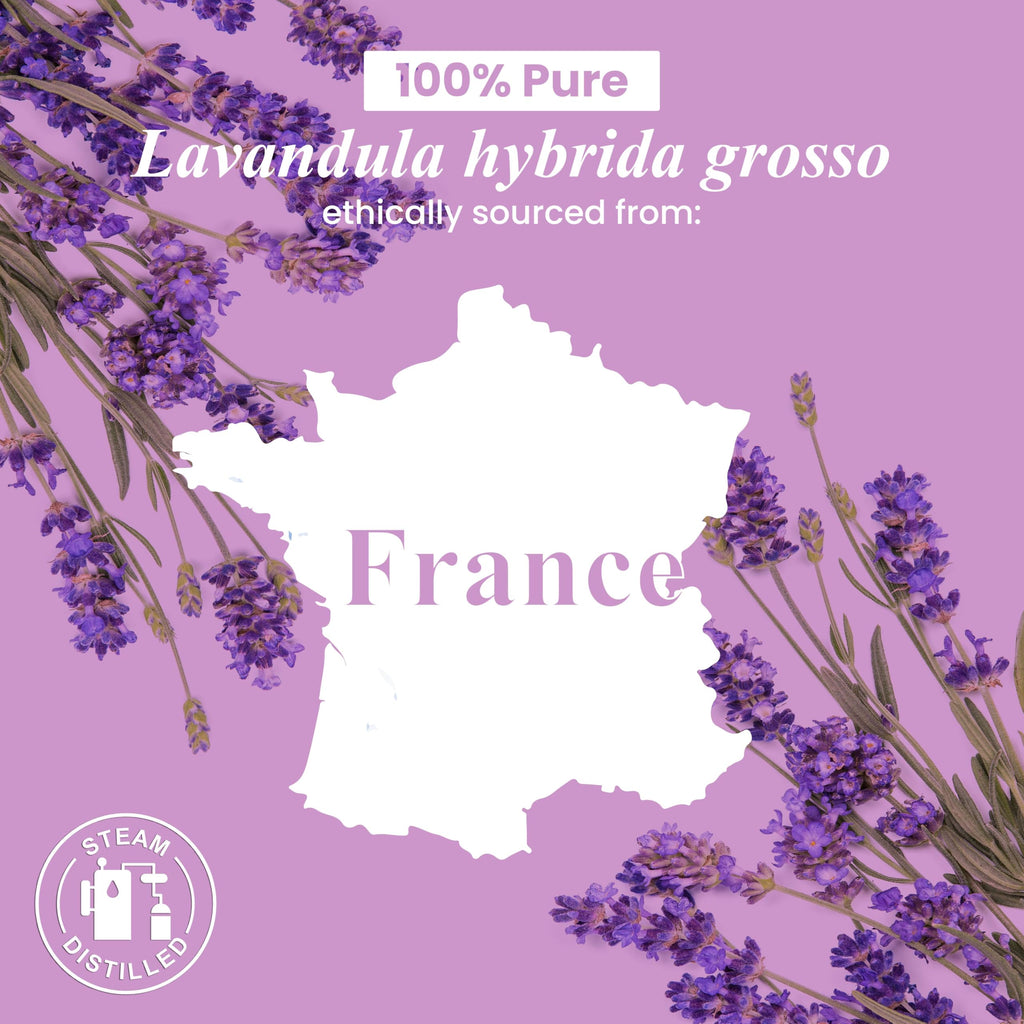 Handcraft Blends Lavender Essential Oil – 4 Fl Oz – 100% Pure & Natural, Premium Grade