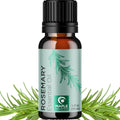 Pure Rosemary Essential Oil for Aromatherapy - Undiluted Rosemary Oil for Hair, Skin & Nails | Maple Holistics
