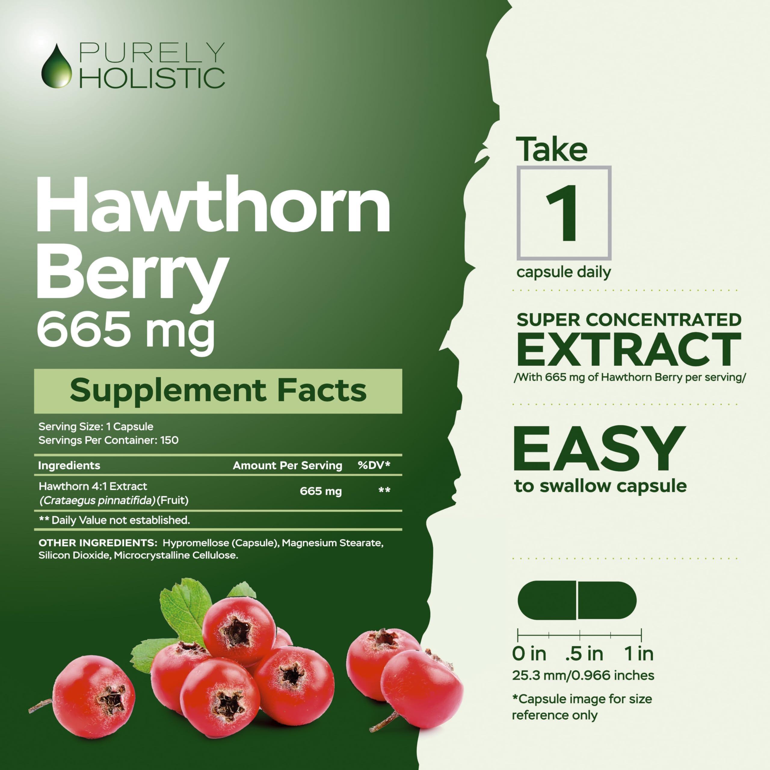 Purely Holistic Hawthorn Berry - 150 Vegan Capsules | 5 Month Supply | High Strength 4:1 Extract | Non-GMO