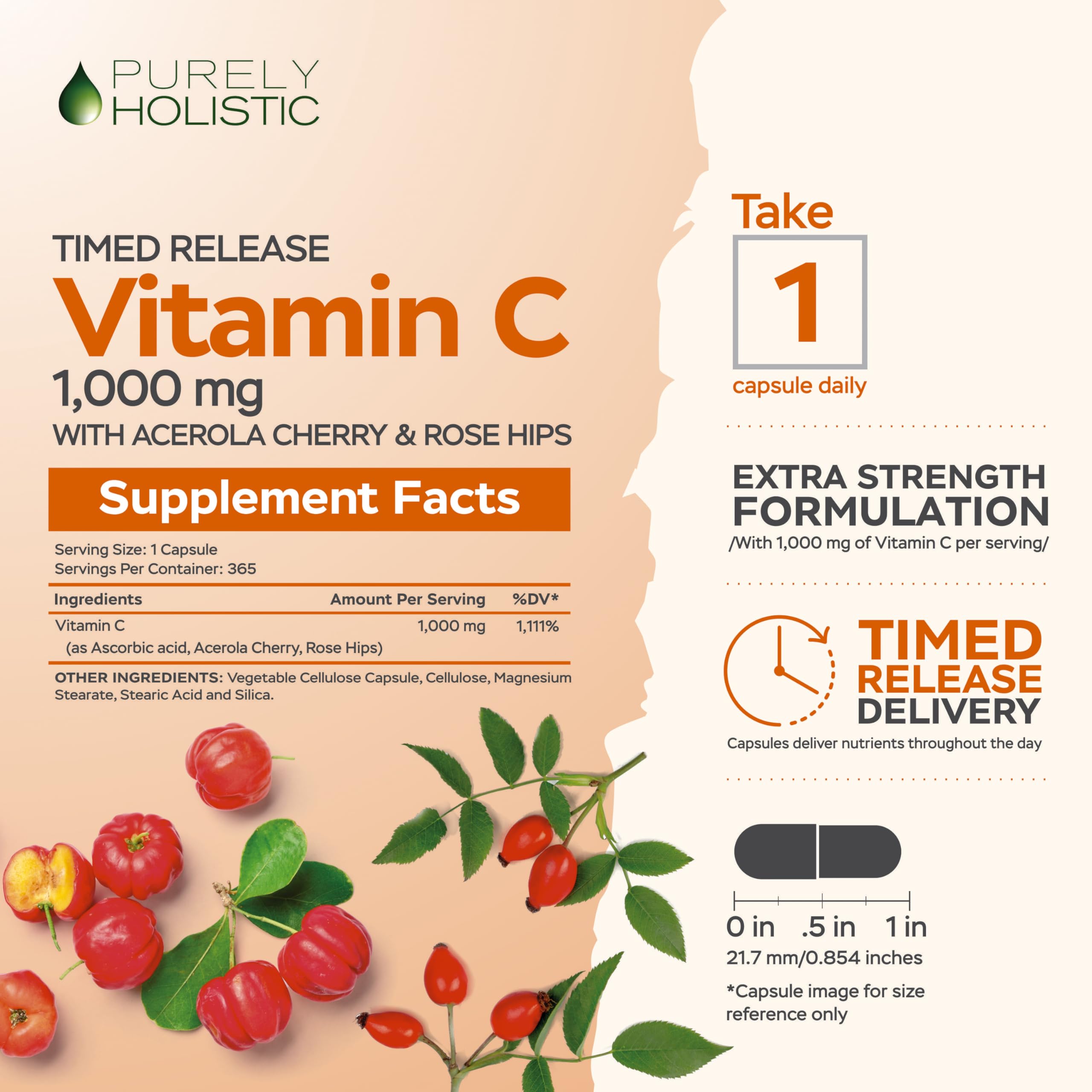Purely Holistic Vitamin C 1000mg Timed Release | 365 Capsules, 12-Month Supply | Vegan