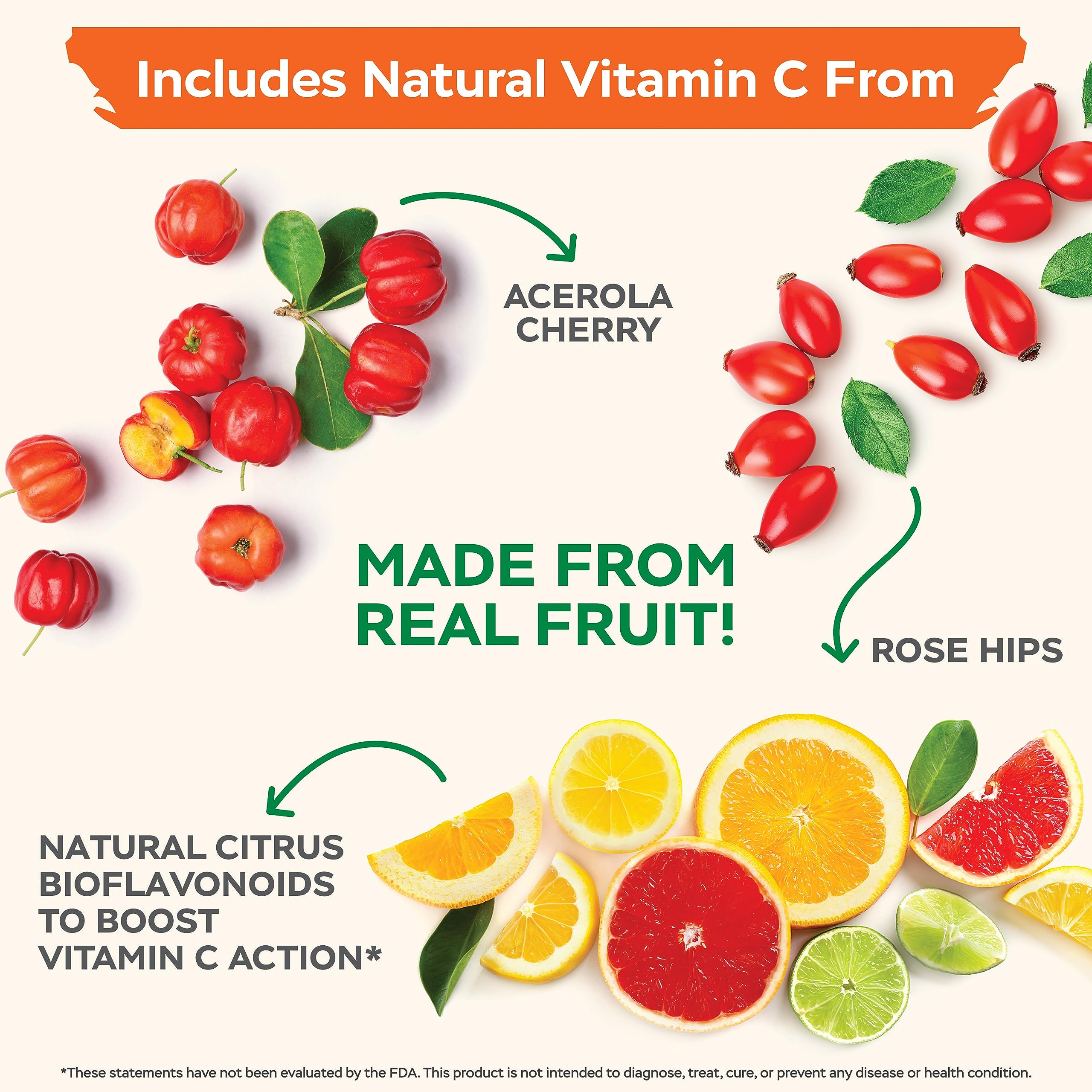 Purely Holistic Vitamin C 1000mg Timed Release | 365 Capsules, 12-Month Supply | Vegan