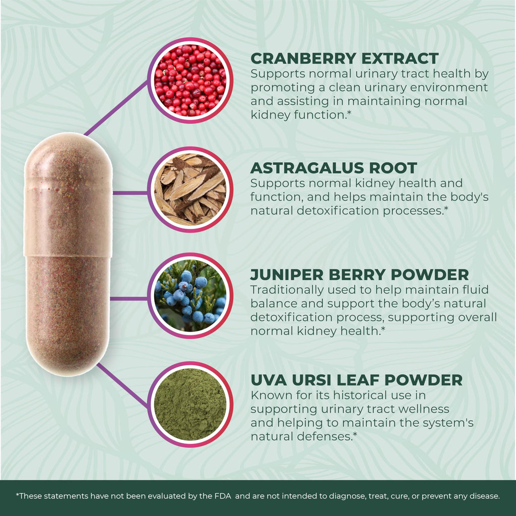 PurePremium Kidney Support – Cranberry & Astragalus (21-in-1)