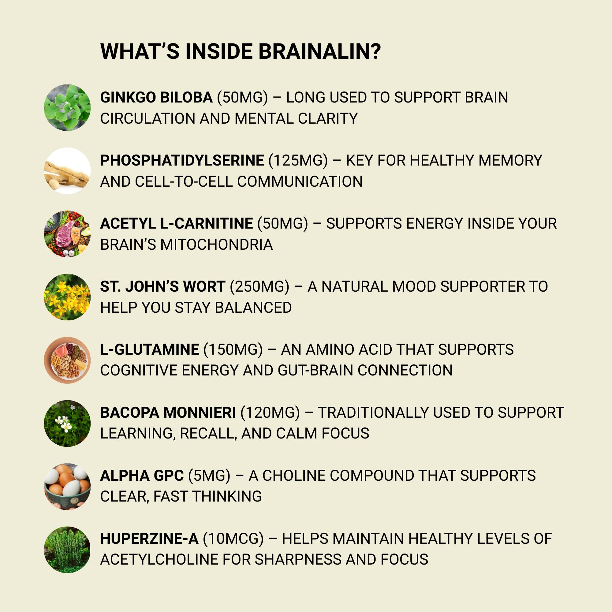 Puridian Brain Supplement for Memory, Focus & Concentration | Brainalin Nootropic Capsules | Non-GMO & Caffeine-Free