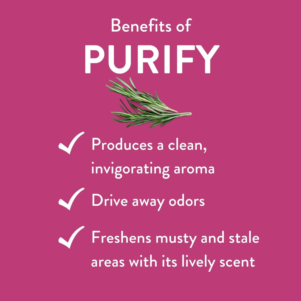 Purify Essential Oil Blend 30 mL | Revive Essential Oils – 100% Pure Therapeutic Grade