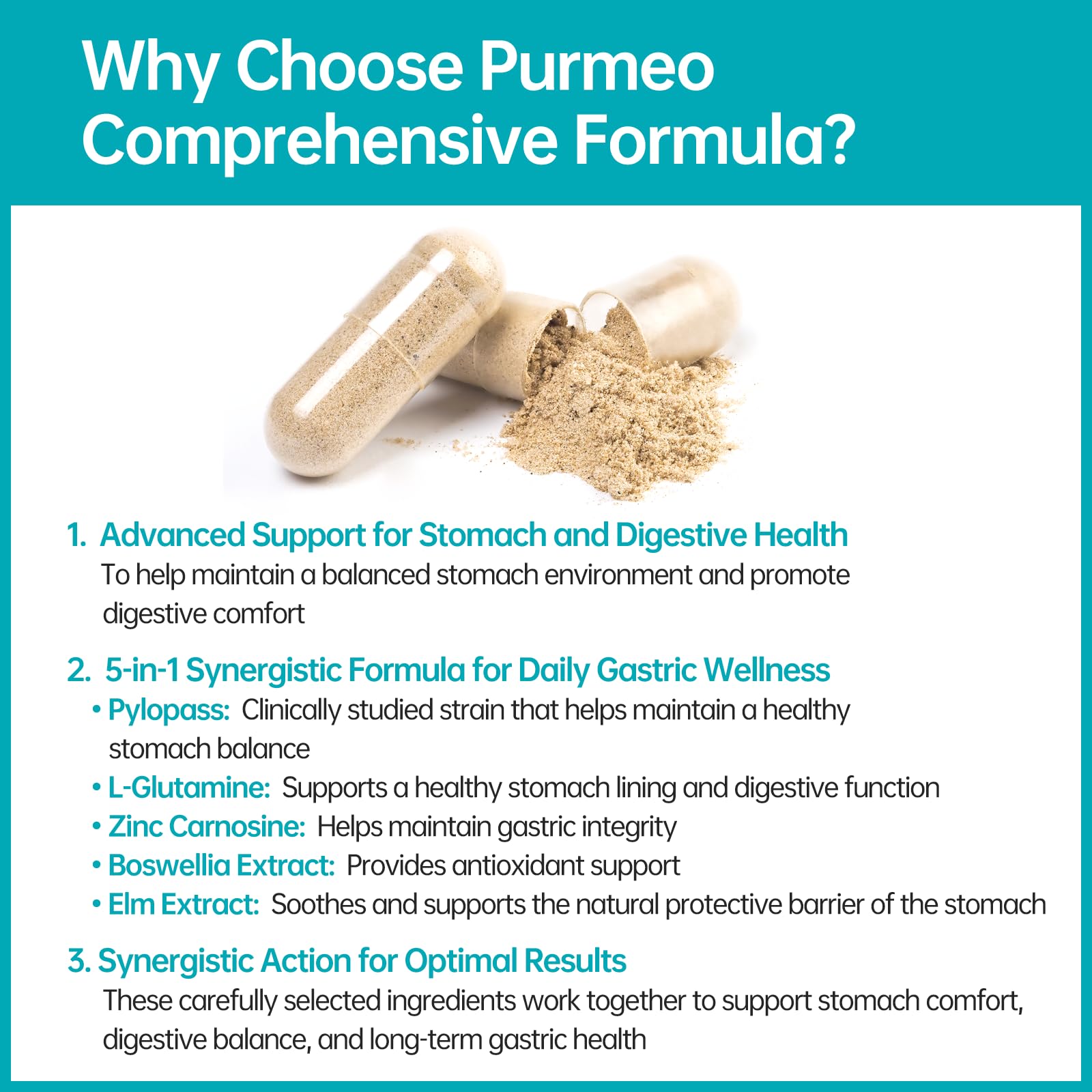 purmeo 5-in-1 High Potency H. Pylori Probiotics | 1 Daily Capsule for Gastric Support – Made in Germany