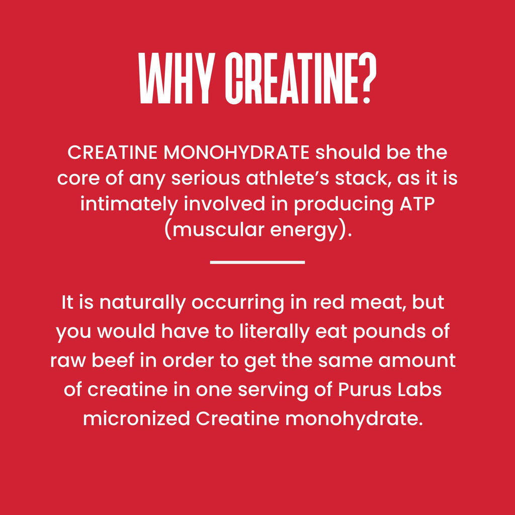 Purus Labs Foundation Series Creatine Powder | 100% Ultra Pure Micronized Creatine Monohydrate | Strength, Mass, Power, Recovery | 30 Servings (Unflavored)