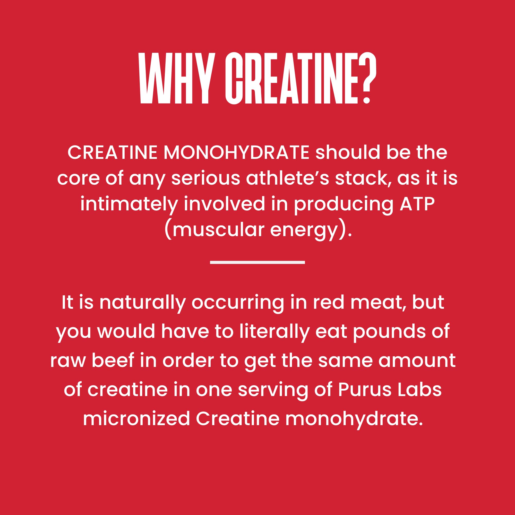 Purus Labs Foundation Series Creatine Powder | 100% Ultra Pure Micronized Creatine Monohydrate | Strength, Mass, Power, Recovery | 30 Servings (Unflavored)
