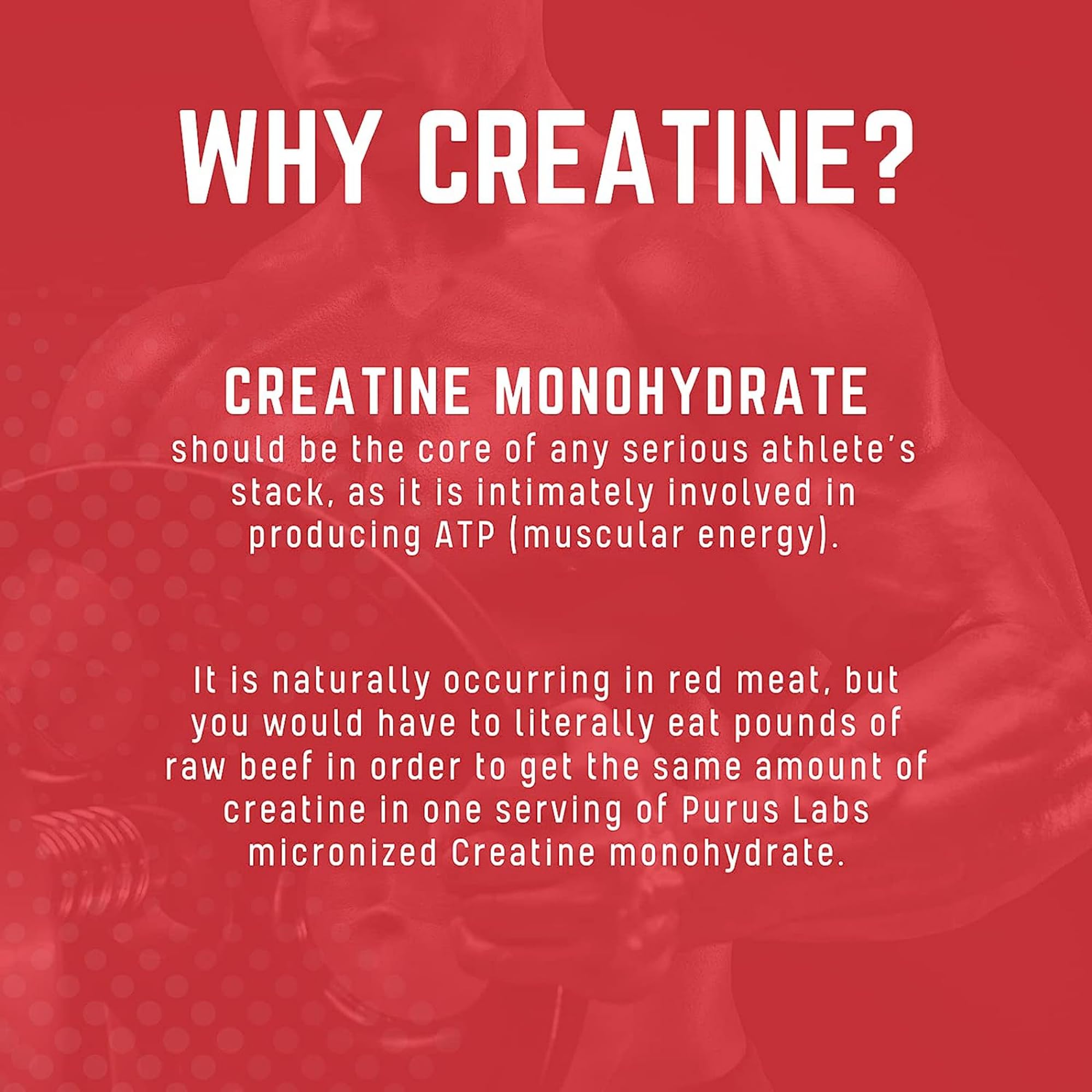 Purus Labs Foundation Series Creatine Powder | 100% Pure Micronized Creatine Monohydrate | 60 Servings (Unflavored)