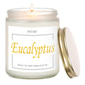 Putart Eucalyptus Mint 9oz Soy Candle | Non-Toxic, Long-Lasting
