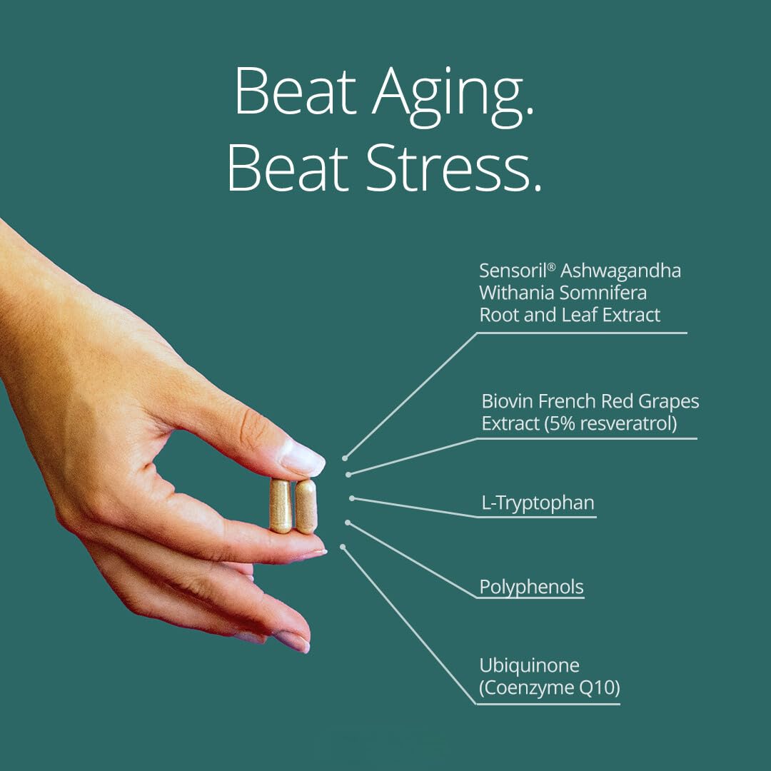 Qualia Mitochondria+ NAD+ Boosters for Cellular Energy & Aging | 160 Ct
