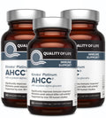 Quality of Life AHCC Kinoko Platinum 750 mg – Immune Support Pack of 3 (60 Count Bottles)