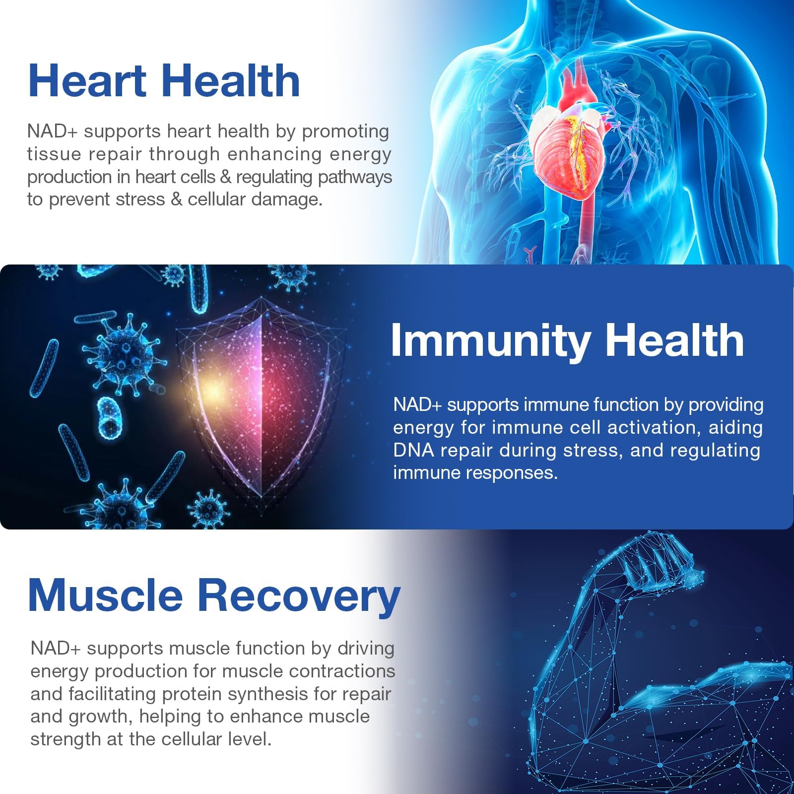 DUCRKACS NAD Supplement – NAD+ NR + Resveratrol for Energy & Anti-Aging