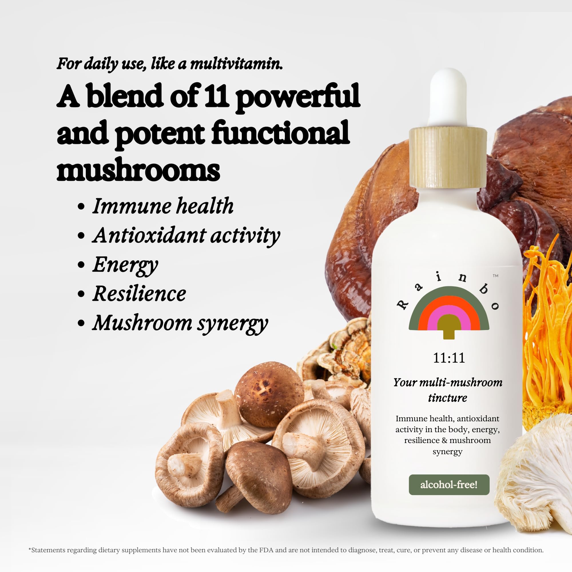Rainbo 11:11 Multi Mushroom Tincture – 11-Mushroom Dual Extract for Immune & Brain Support, 3.4 fl oz, Vegan