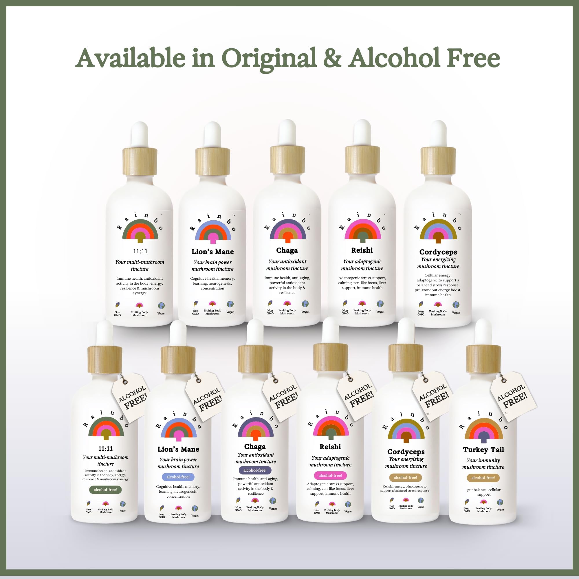 Rainbo 11:11 Multi Mushroom Tincture – 11-Mushroom Dual Extract for Immune & Brain Support, 3.4 fl oz, Vegan