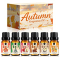 RAINBOW ABBY Fall Fragrance Oils Set – Autumn Essential Oils for Diffuser & Candle Making