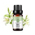 Lily Essential Oil 100% Pure – Organic Lilium Auratum (10ml) | Rainbow Abby