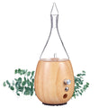 Organic Aromas Raindrop 2.0 Aromatherapy Diffuser - Waterless Glass Nebulizer, Auto-Off, BPA Free, Lightwood
