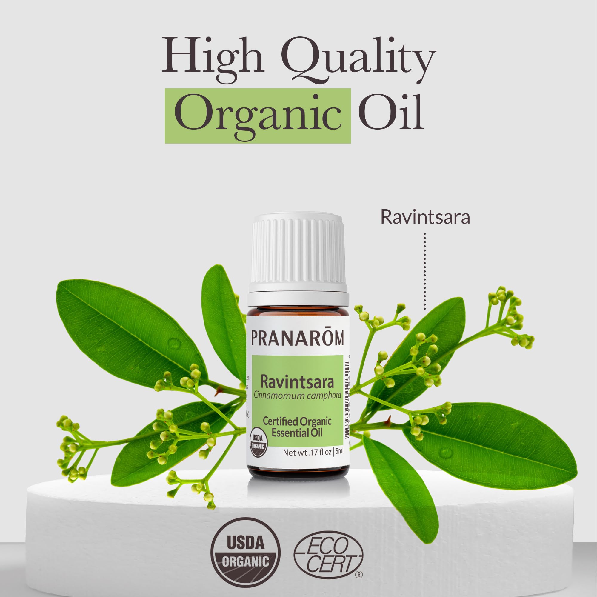 Pranarom Ravintsara CT 1,8-Cineole Essential Oil – Organic, 100% Pure