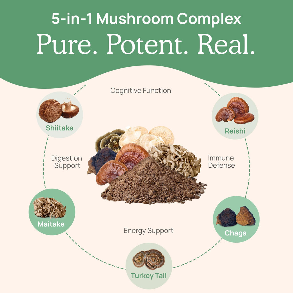 Real Mushrooms 5 Defenders Mushroom Complex – 5-Mushroom Beta Glucans (45 Servings)