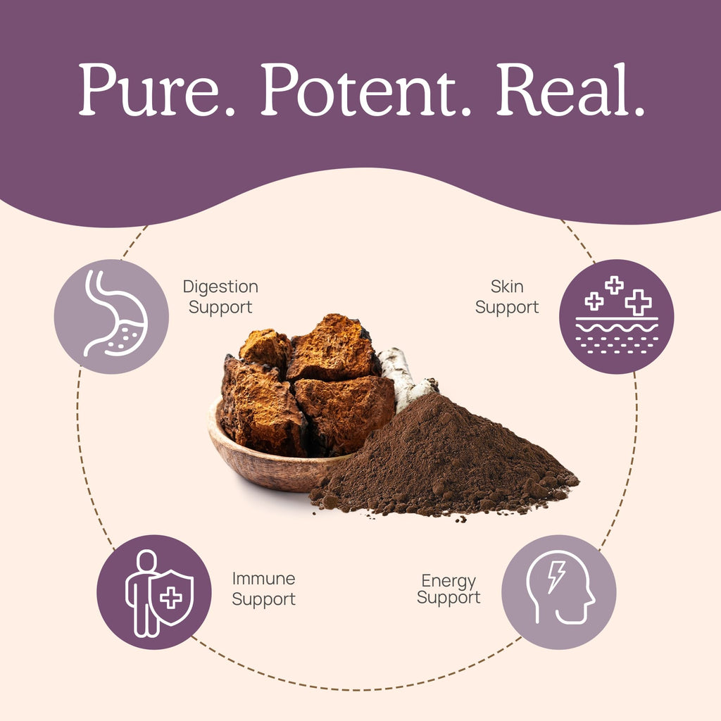 Real Mushrooms Chaga Capsules – Organic Chaga Extract, Vegan & Non-GMO, 300 Capsules