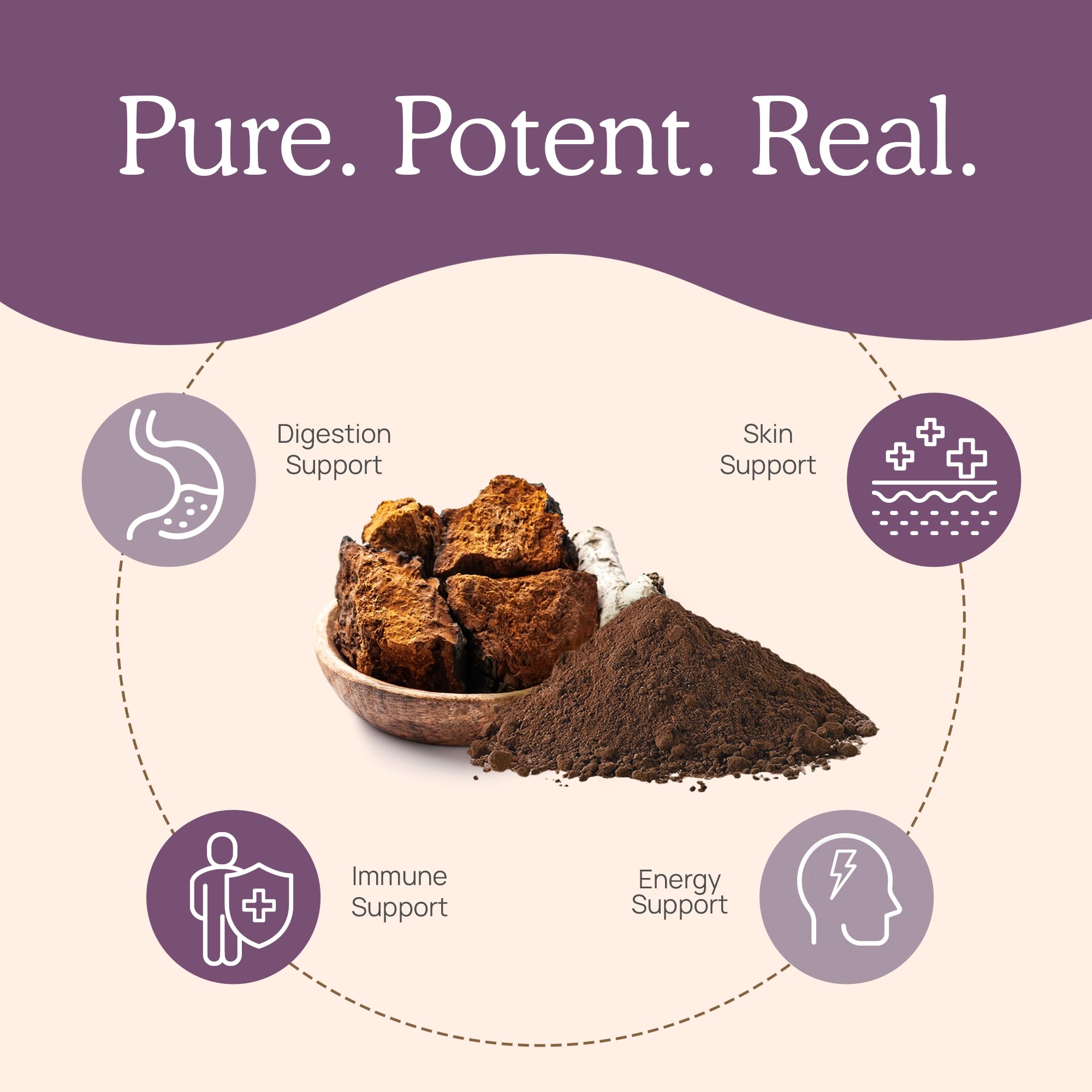 Real Mushrooms Chaga Capsules – Organic Chaga Extract, Vegan & Non-GMO, 300 Capsules