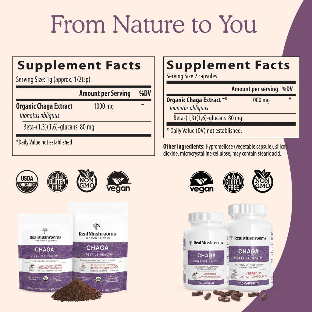 Real Mushrooms Chaga Mushroom Powder – Organic Chaga Extract (60 Servings) – Daily Wellness & Energy