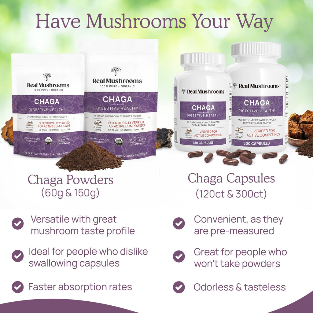 Real Mushrooms Chaga Mushroom Powder – Organic Chaga Extract (60 Servings) – Daily Wellness & Energy