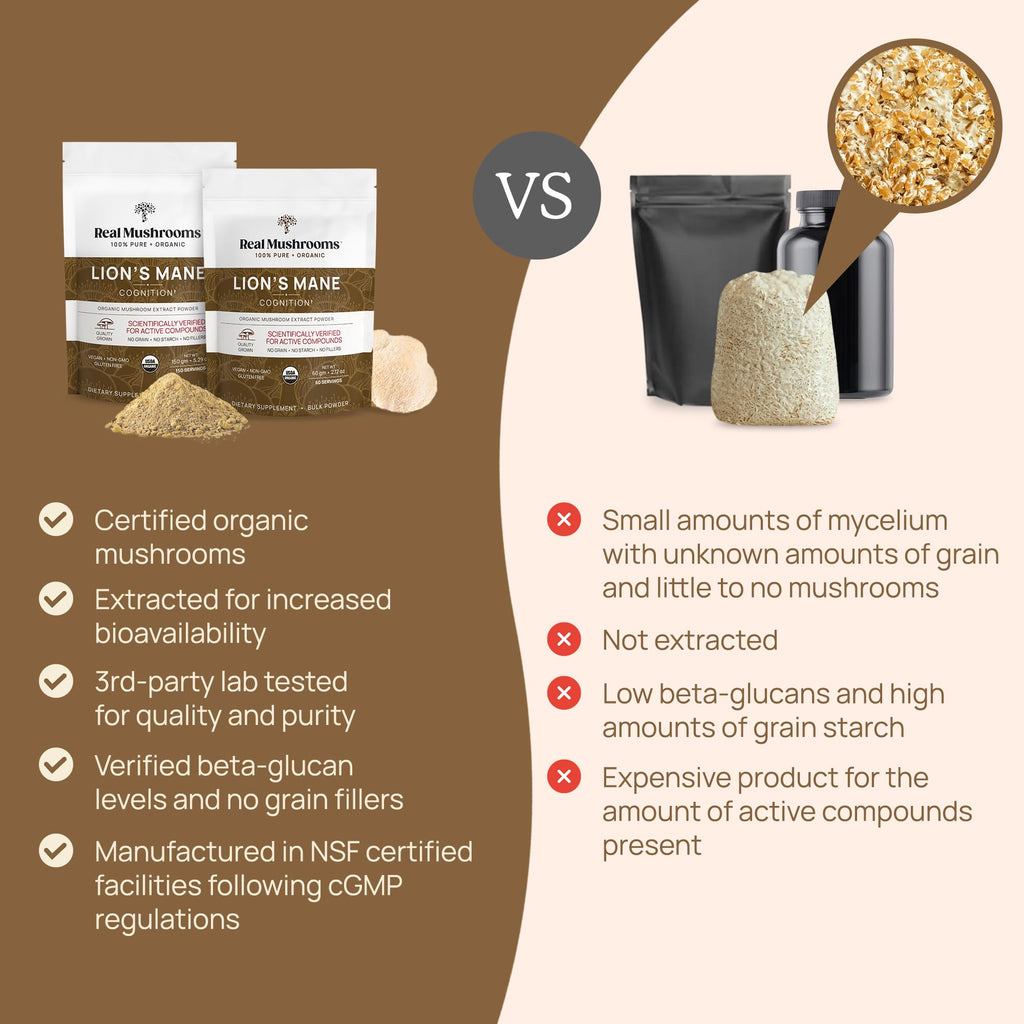 Real Mushrooms Lion’s Mane Supplement Powder – Organic Lion’s Mane Extract, 150 Servings