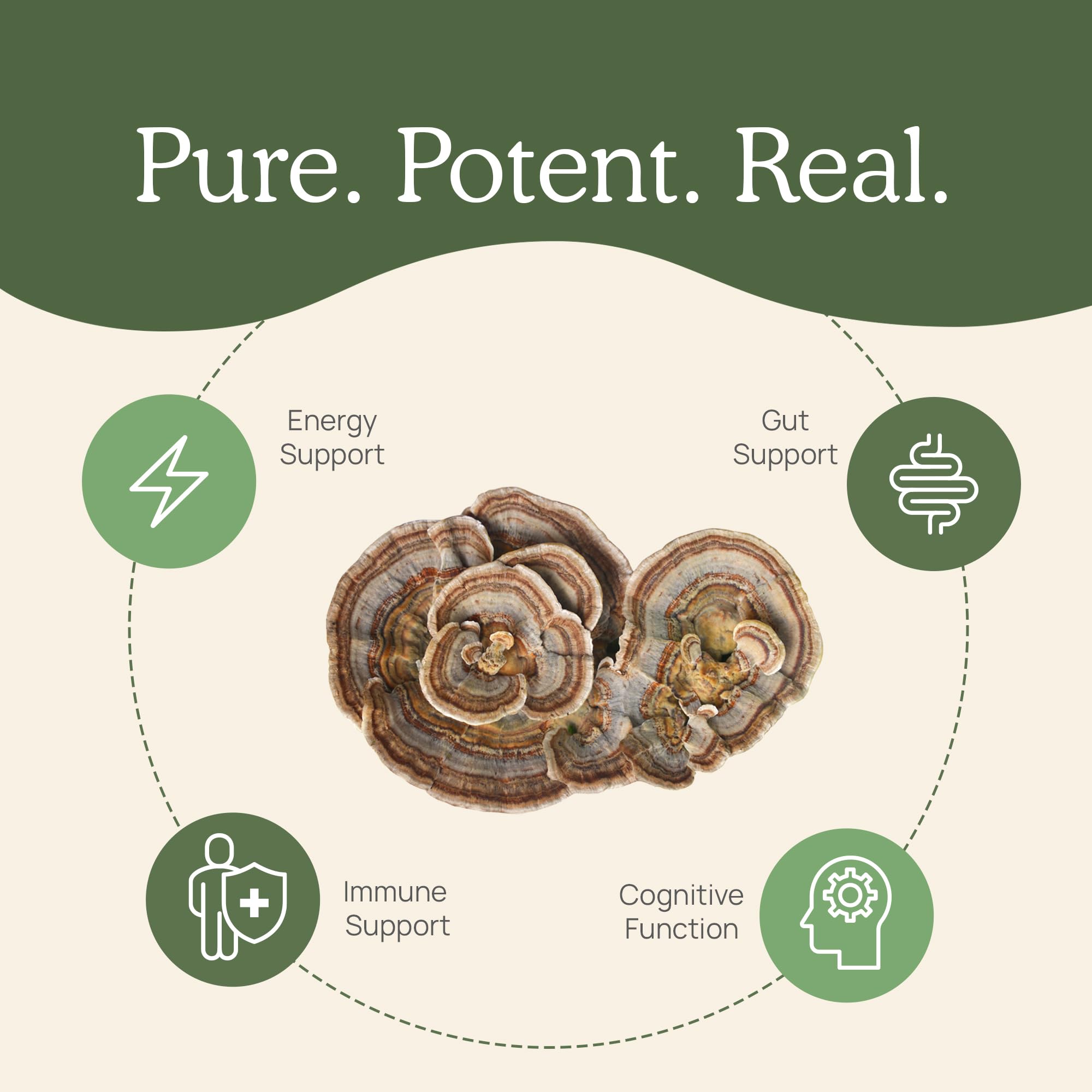 Real Mushrooms Turkey Tail Capsules – Organic, Vegan, 90 Count