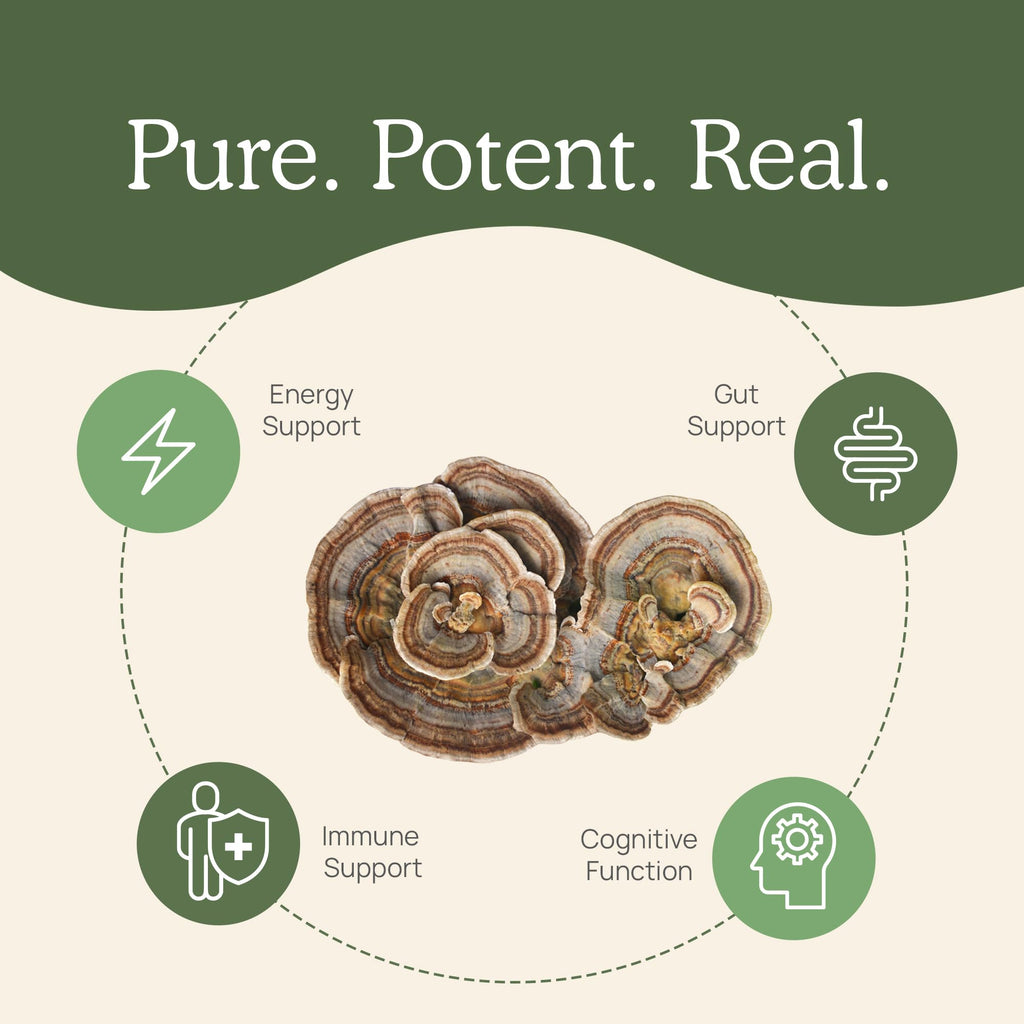 Real Mushrooms Turkey Tail Mushroom Powder – Organic Extract, 100 Servings | Vegan & Non-GMO