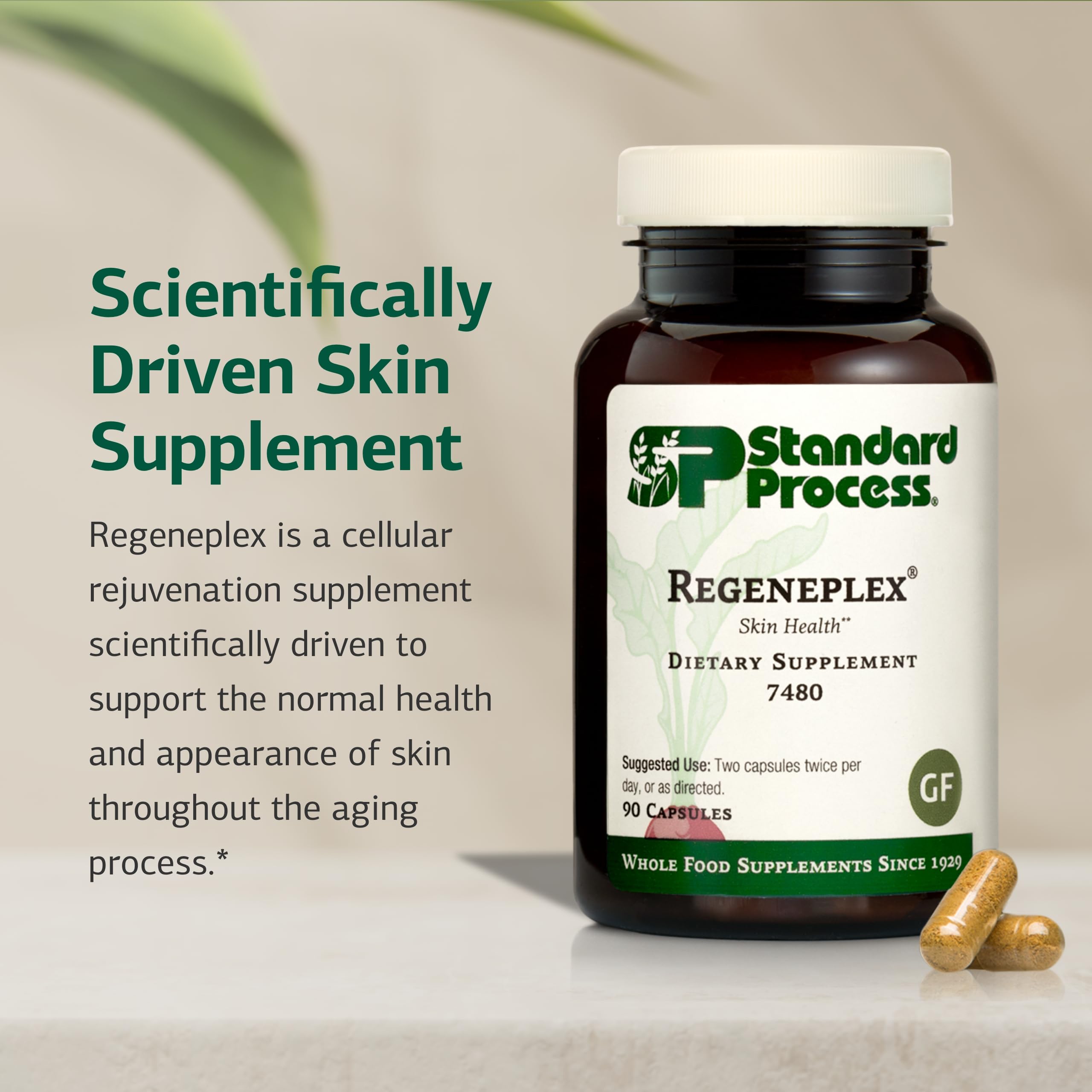 Regeneplex Skin Health Supplement – Vitamin C & Zinc | Gluten-Free | 90 Capsules