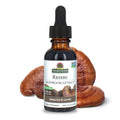 Nature's Answer Reishi Mushroom Extract – Alcohol Free, 1 fl oz (30 ml)