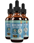 Rejuvica Health NerveFactor – Advanced Nerve Support Liquid with B Vitamins & Herbal Extracts