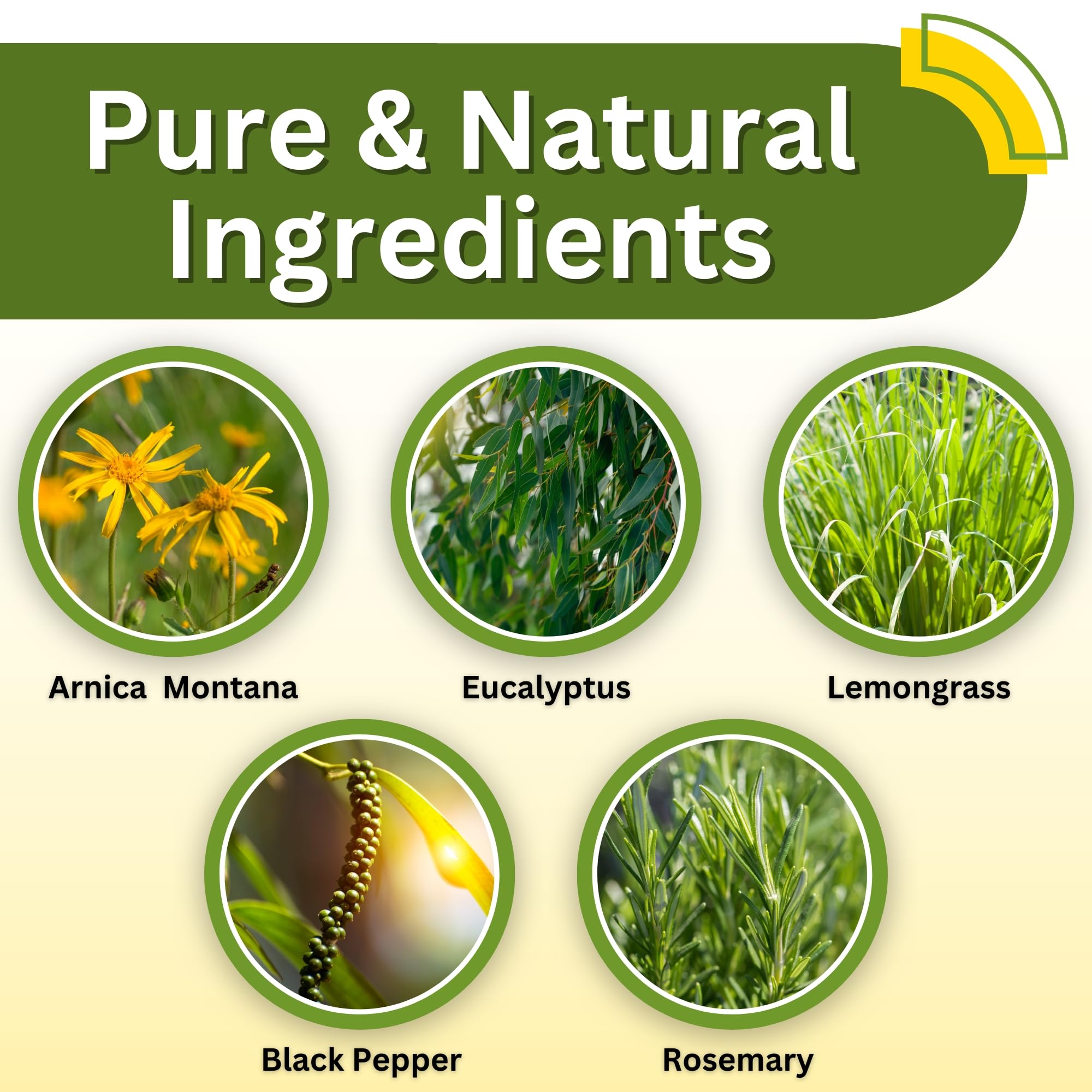 Relief Arnica Cream – All-Natural Massage Lotion with Lemongrass, Eucalyptus & Rosemary | Brookethorne Naturals