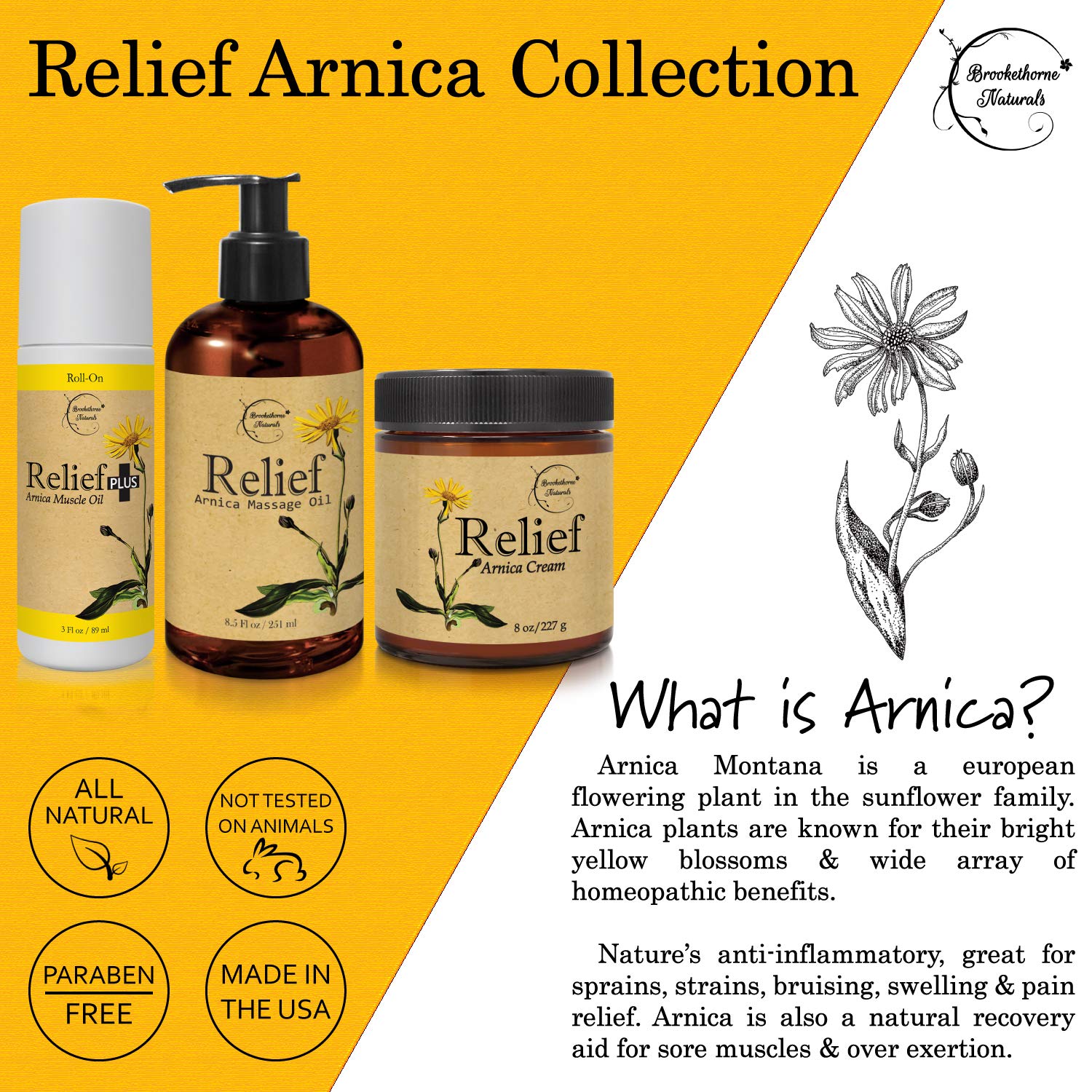 Relief Arnica Cream – All-Natural Massage Lotion with Lemongrass, Eucalyptus & Rosemary | Brookethorne Naturals