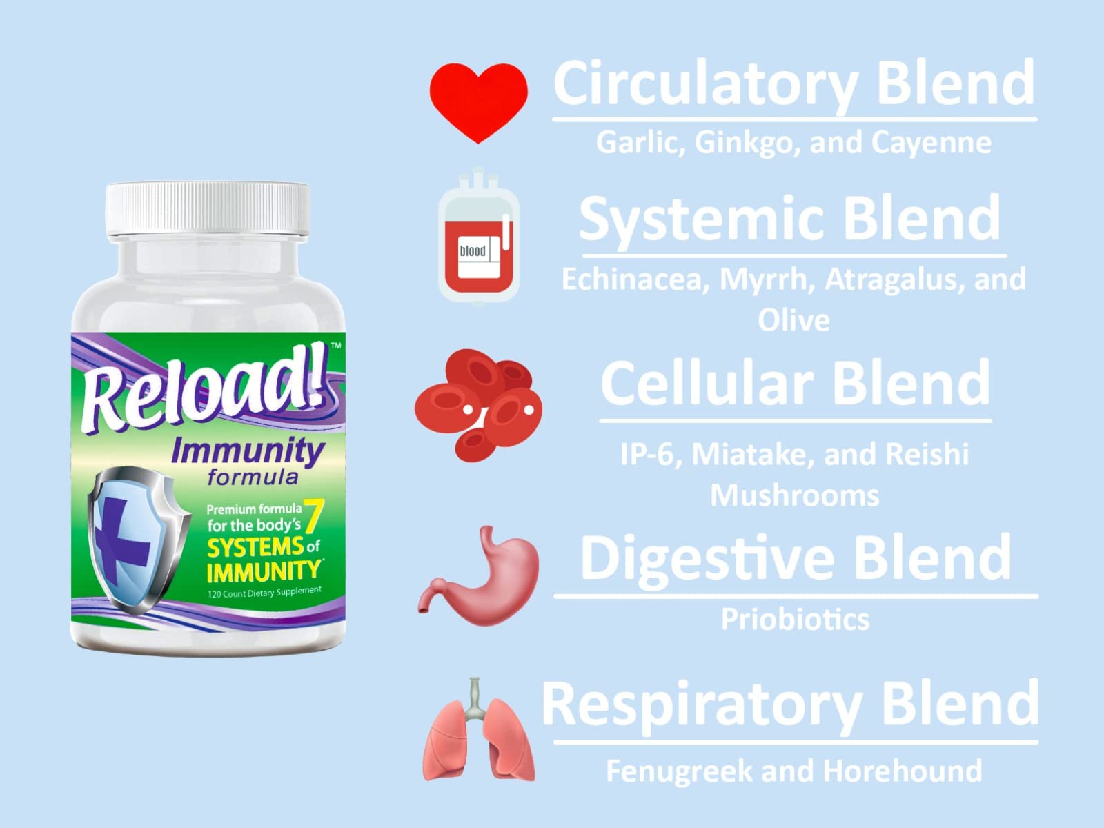 Reload! Immunity Antioxidant Multivitamin – Echinacea, Vitamins A, C, D, Zinc, Selenium, Ginkgo, Aloe, Probiotic/Prebiotic, Fenugreek | 120ct, 30 Day Supply