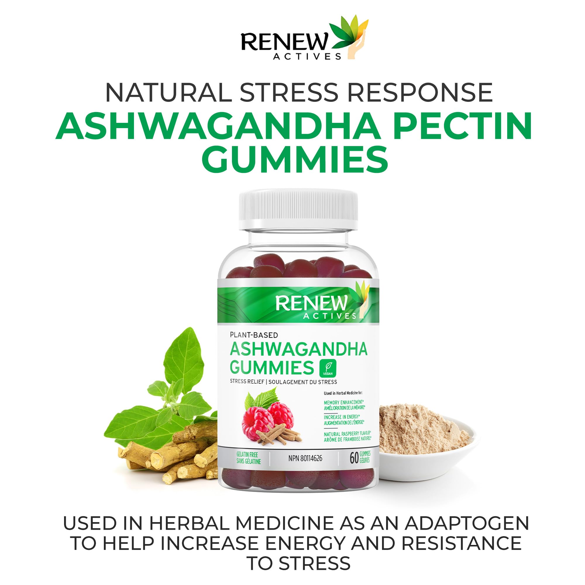 Renew Actives Ashwagandha Gummies 100MG – Vegan, Made in Canada