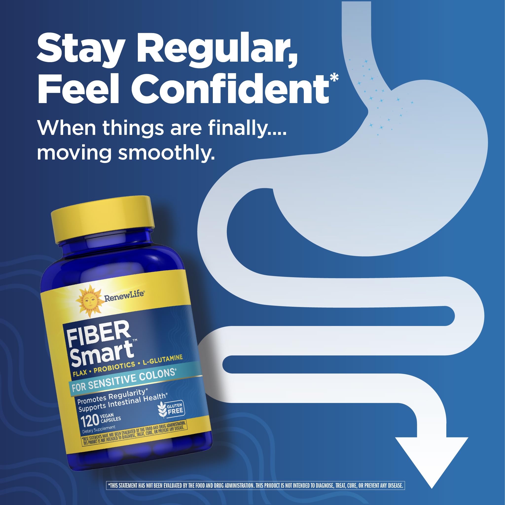 Renew Life Fiber Smart - Gluten & Soy Free Fiber Supplement, 120 Veg Capsules