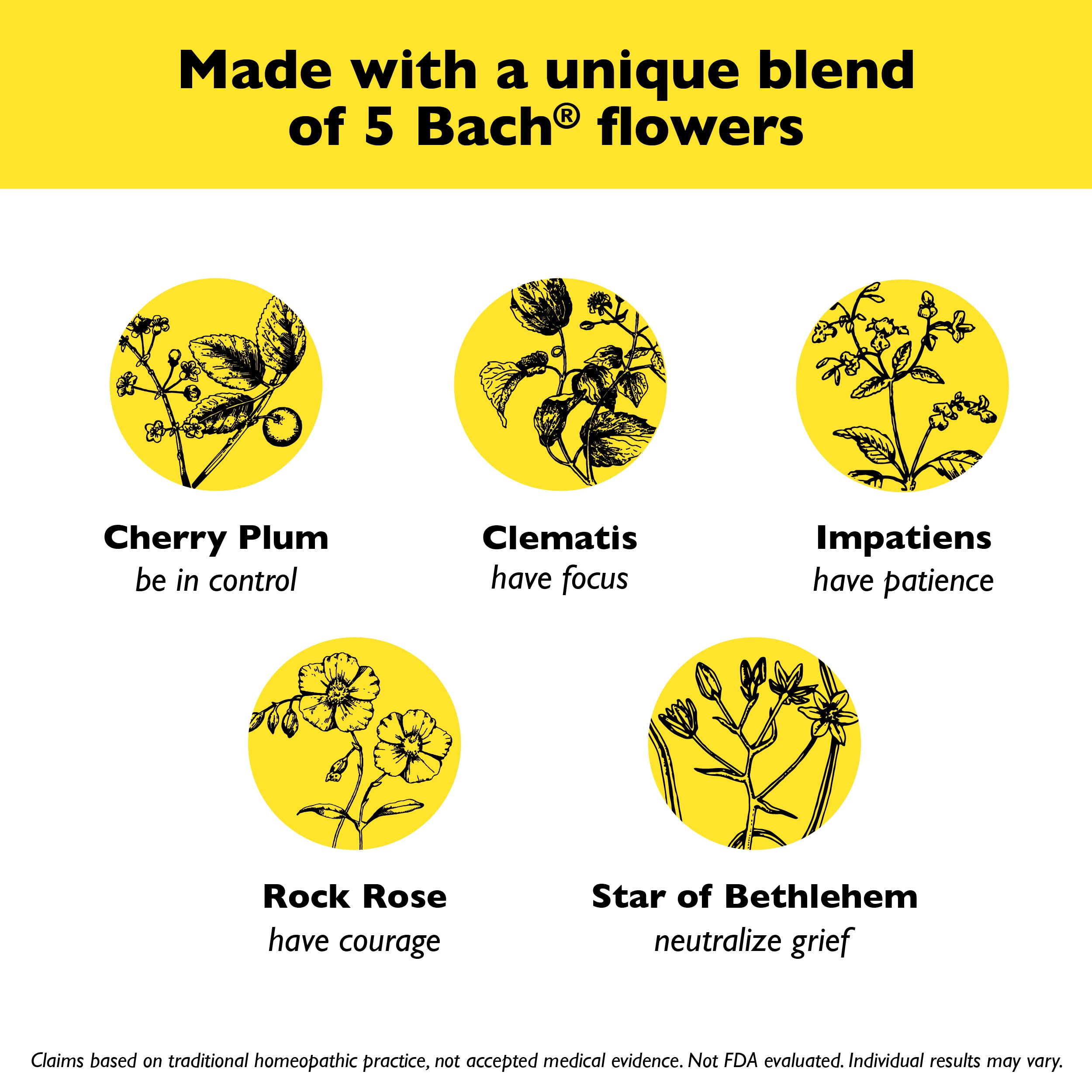 RESCUE Bach Pastilles – Black Currant Stress Relief Lozenges 4-Pack