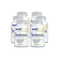 Research Verified Ashwagandha 1500mg with Bioperine & Ginger | 60 Vegan Capsules