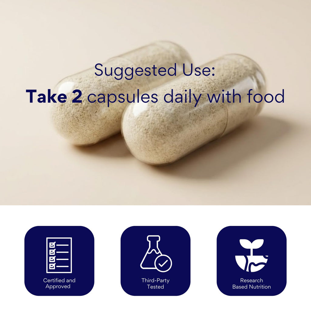 Research Verified Brain Booster – Nootropic for Memory & Focus, 180 Vegan Capsules (3 Bottles)