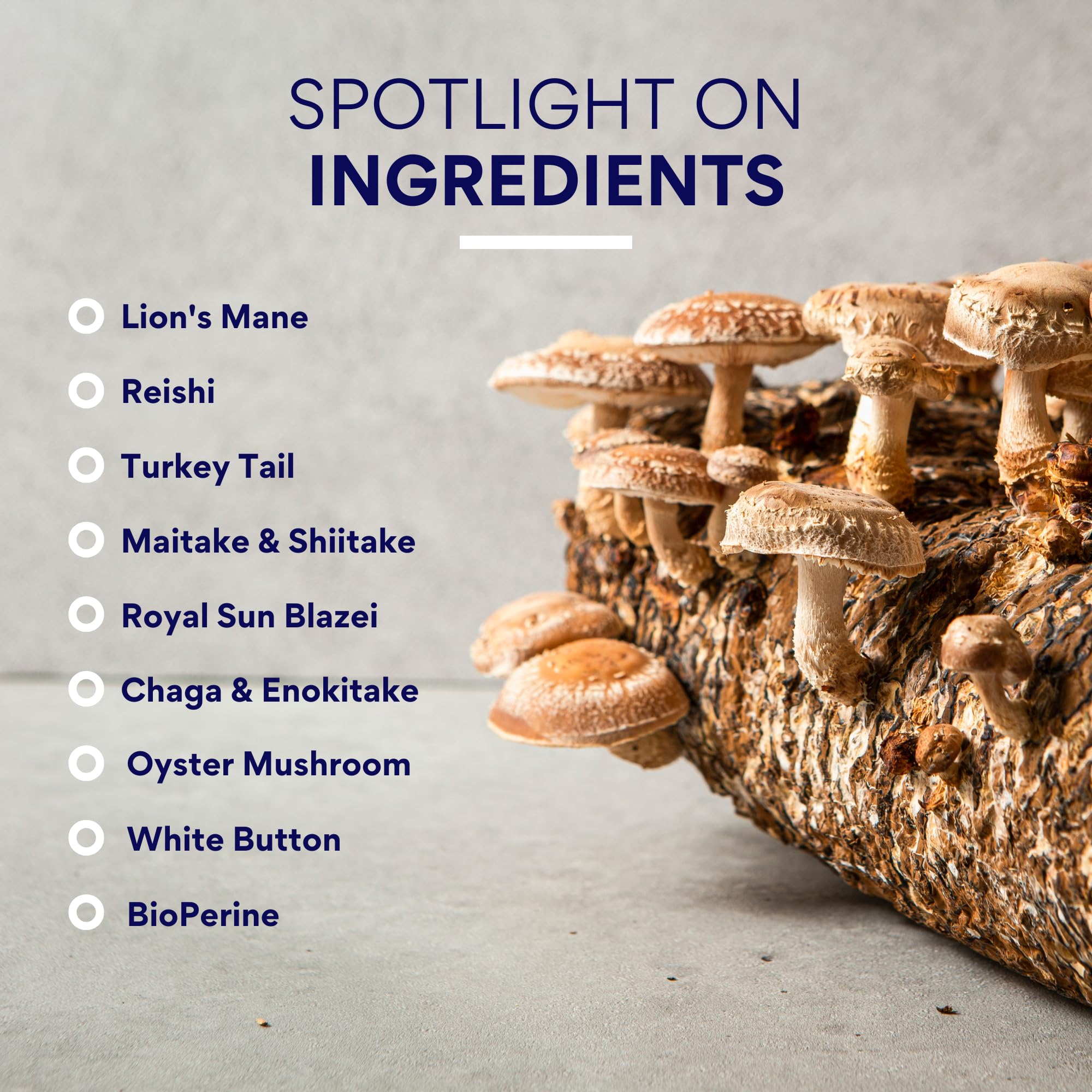 Research Verified Mushroom Complex - Immune Support, Antioxidants & Cognitive Function | 360 Vegan Capsules