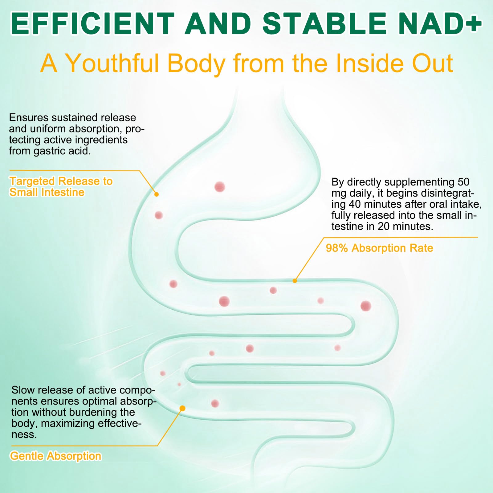 NAD+ Supplement 120 Capsules – Liposomal NR, Resveratrol & Quercetin | Anti-Aging & Cellular Regeneration